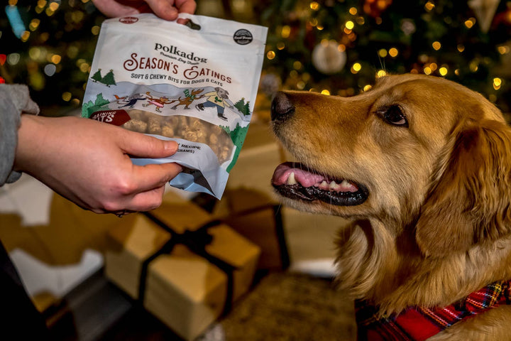 Holiday Pouch: Seasons Eatings (Turkey & Cranberry) - 10oz