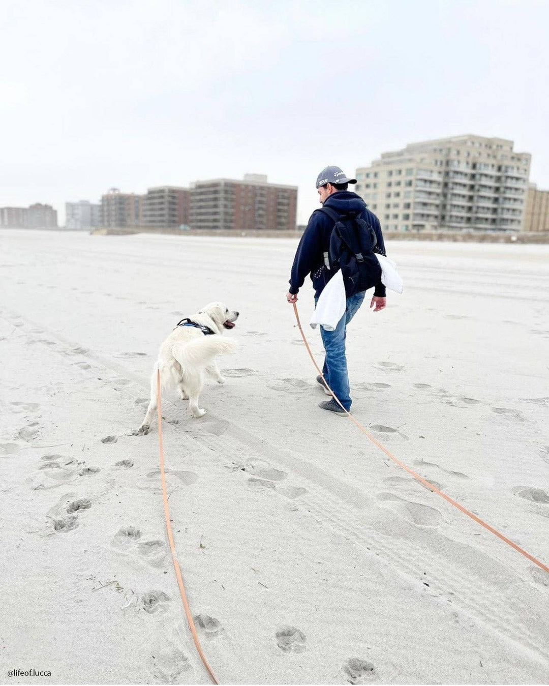 Waterproof Cloud Long Line Leash (30 ft)