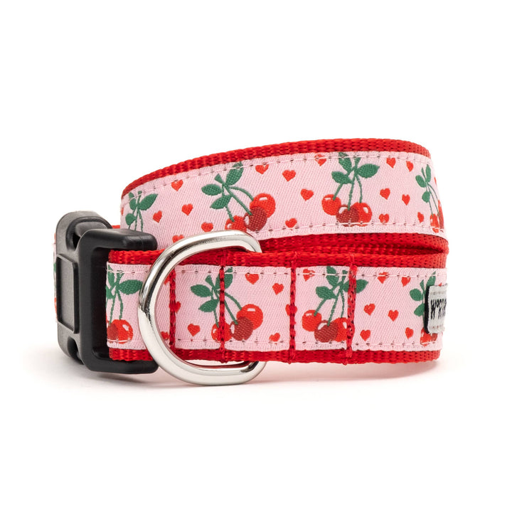 The Worthy Dog Collar