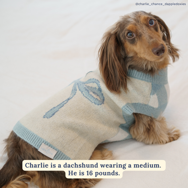 Bowwow Wow! Sweater