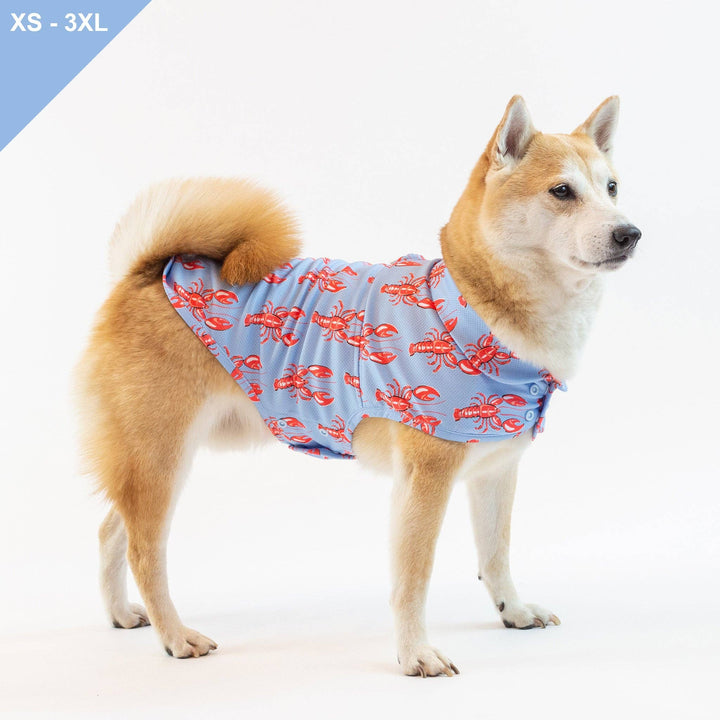 Lobster Cooling Shirt