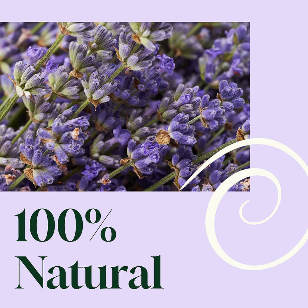 Blissful Dreams™ Lavender Pillow Spray 8oz