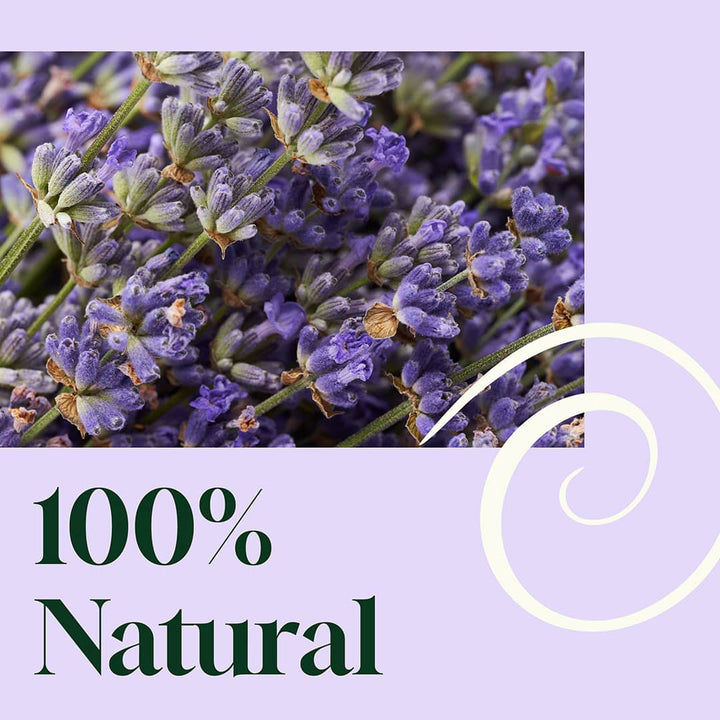 Blissful Dreams™ Lavender Pillow Spray 8oz