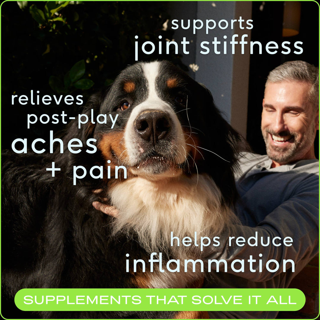 Relief Chews, Hip & Joint Supplement for Dogs