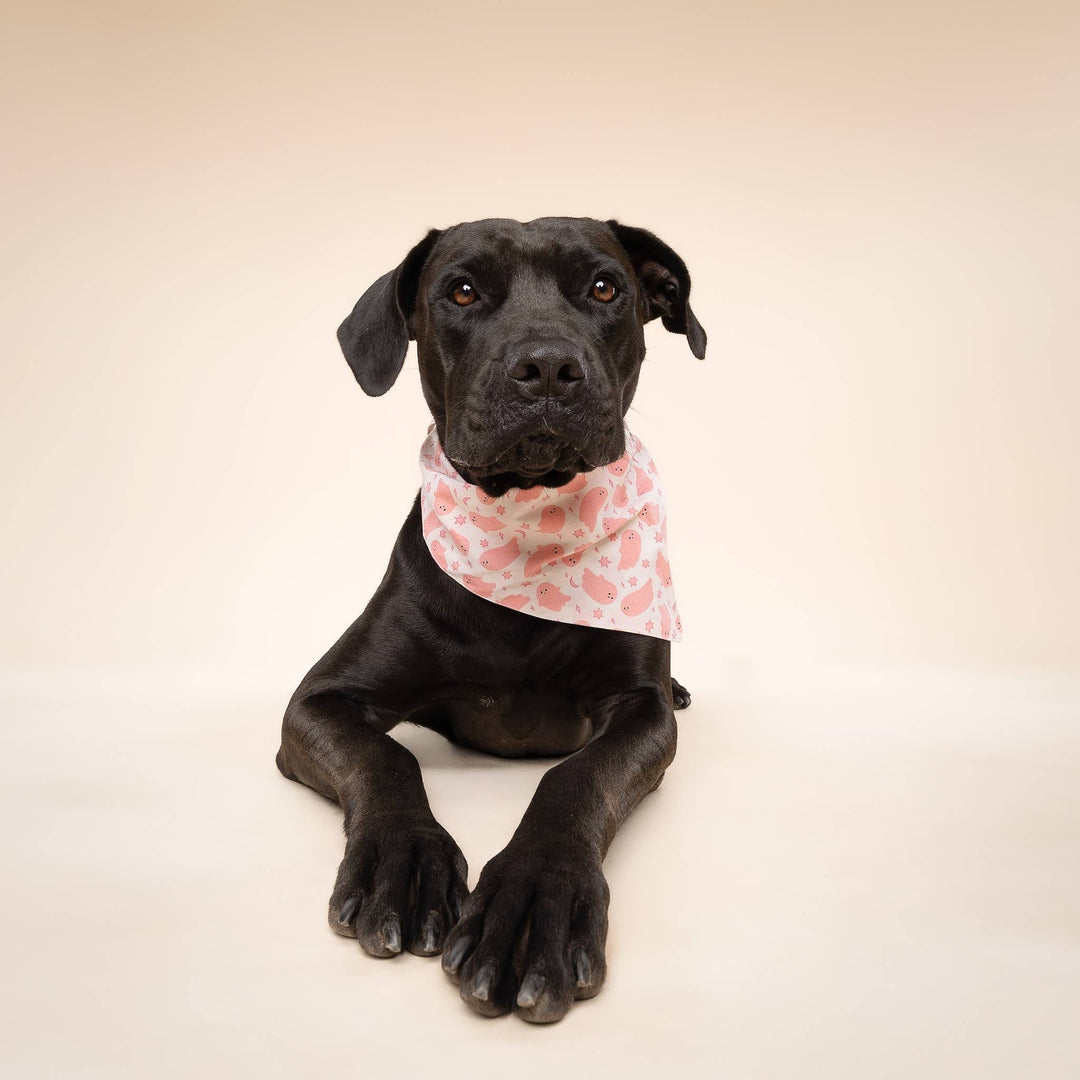 Pinkaboo Halloween Dog Bandana