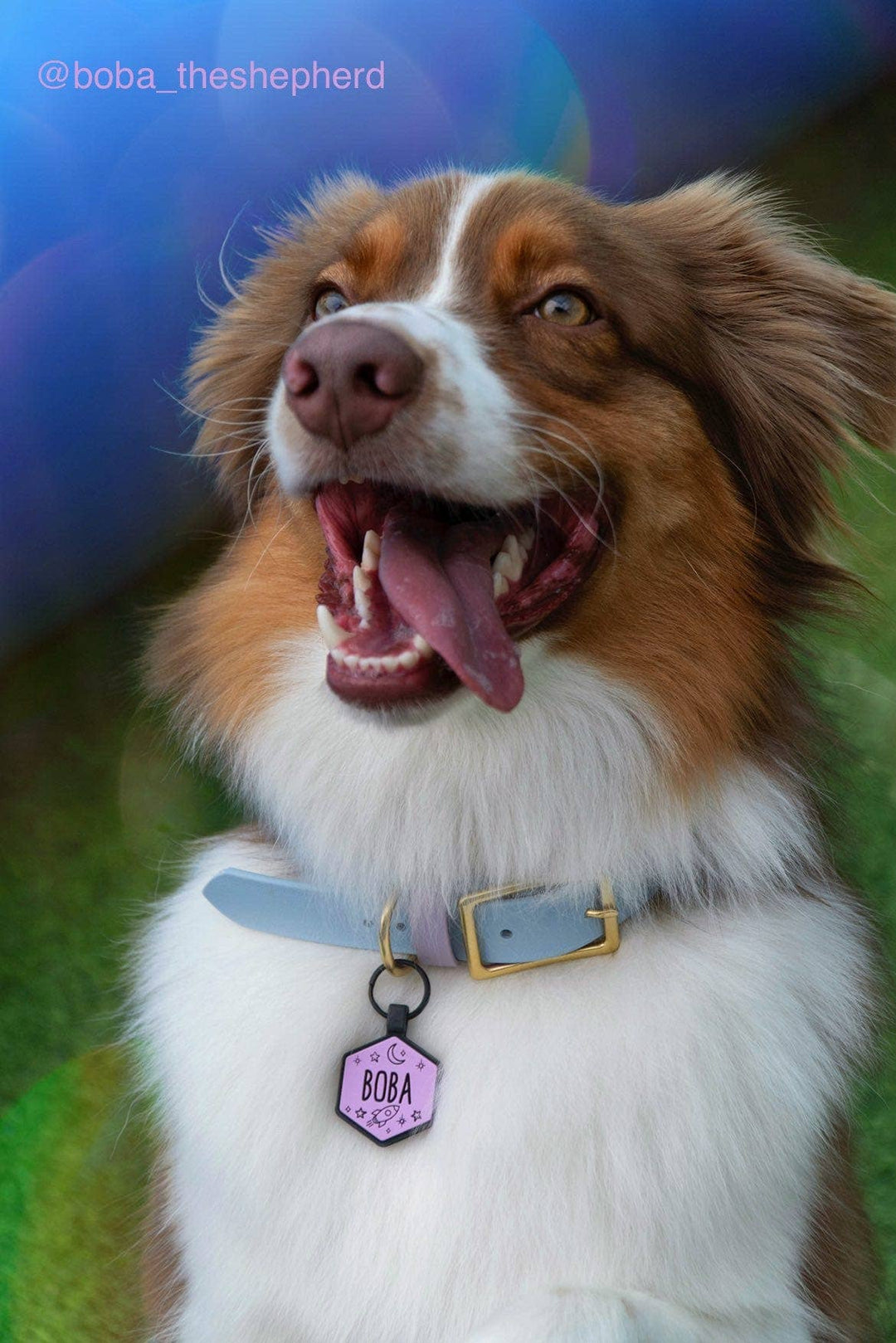 Space Cadet Silicone Dog ID Tag