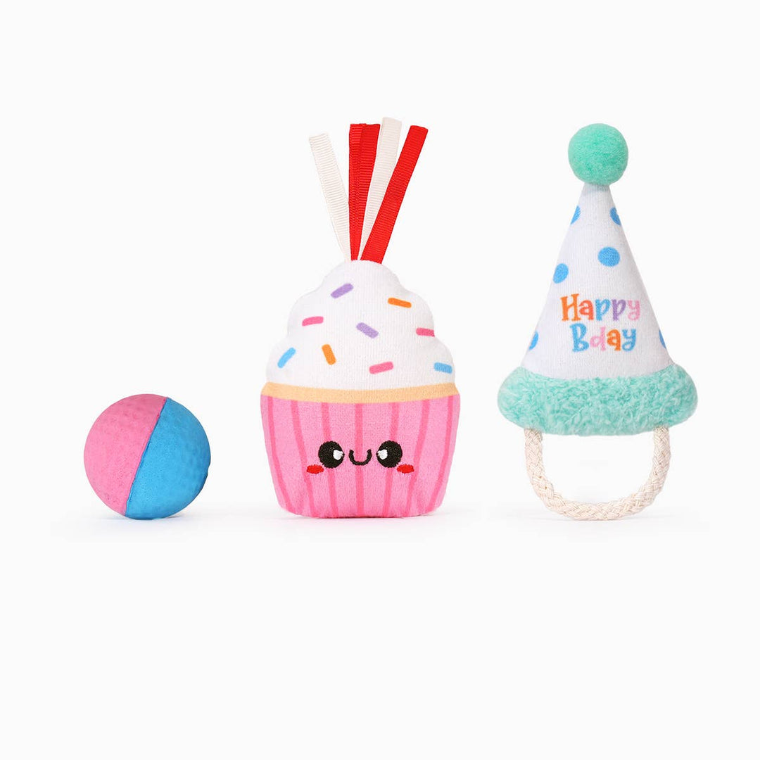 HugSmart Pet - Yappy Birthday  | Cake & Hat - Cat Toy