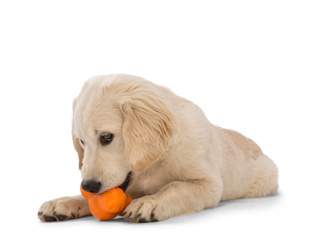 Tux® Puzzle Treat-Dispensing Slow Feeder Dog Toy