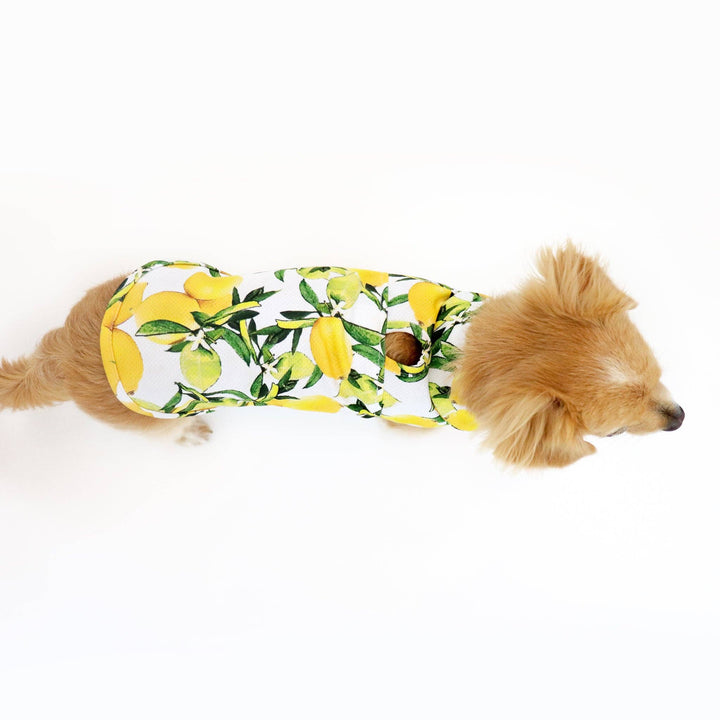 Lemon Cooling Shirt