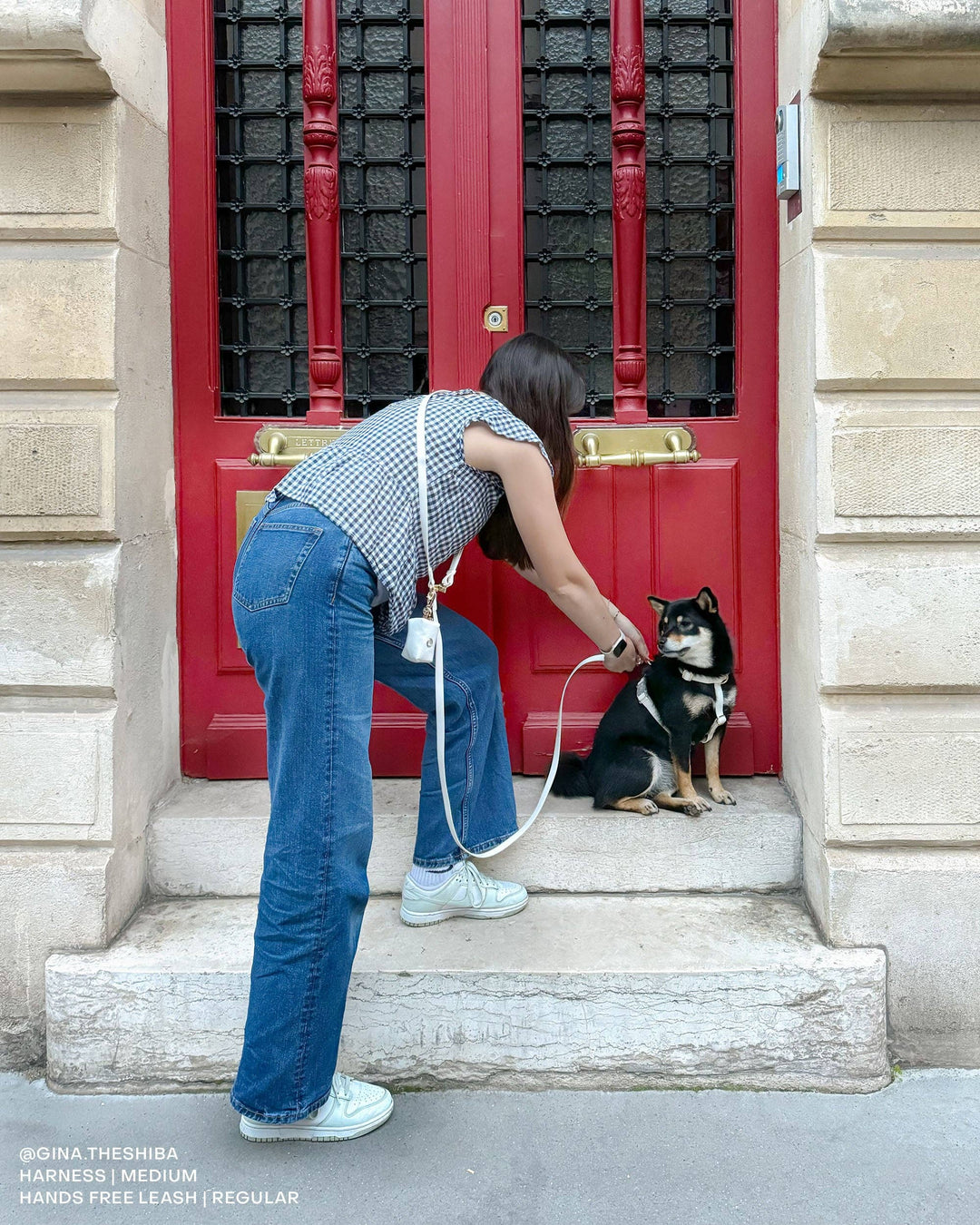 4-in-1 Hands-Free Convertible Cloud Leash