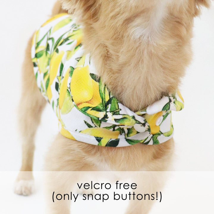 Lemon Cooling Shirt