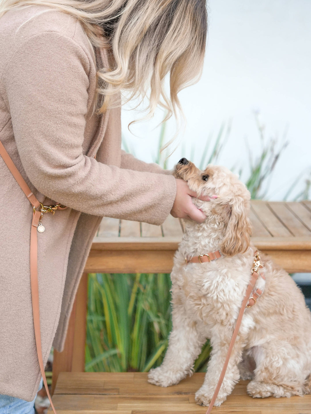 Cloud Lite Harness