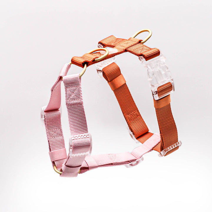 Classic Harness | Cloudberry