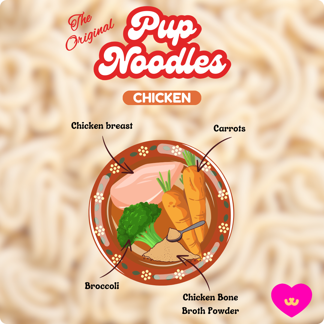 Pup Noodles Chicken- VIRAL cup noodles for dogs & cats