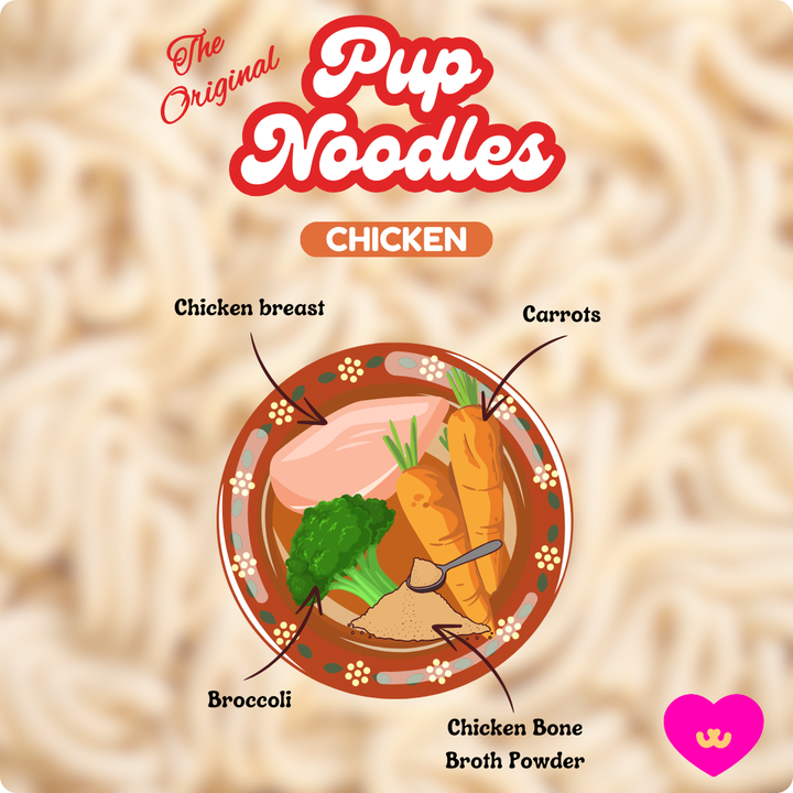 Pup Noodles Chicken- VIRAL cup noodles for dogs & cats