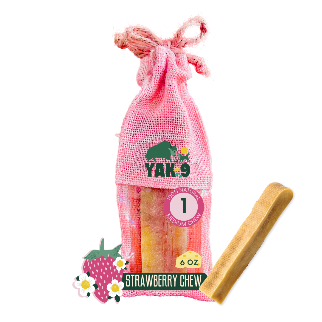 Yak9 - Strawberry Yak Chews for Dogs - Medium 6oz