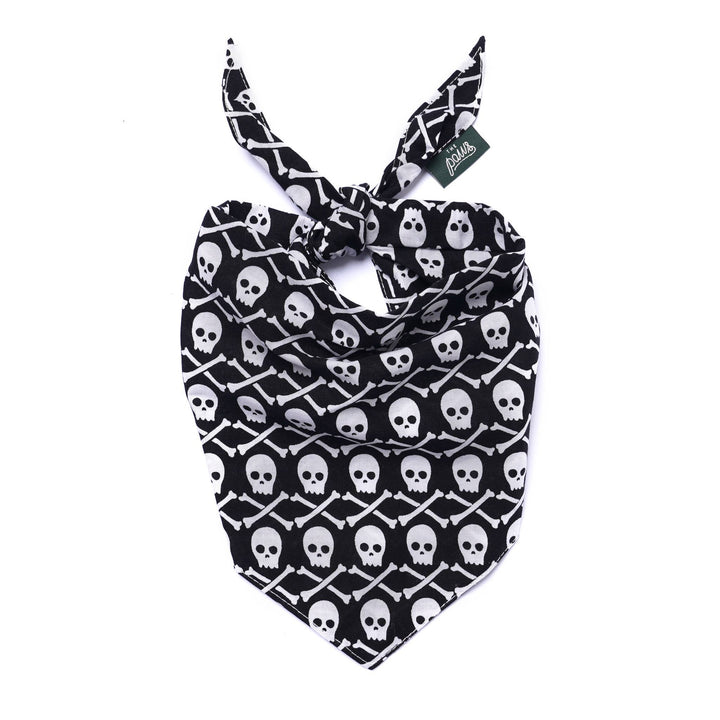 Wicked Dog Bandana