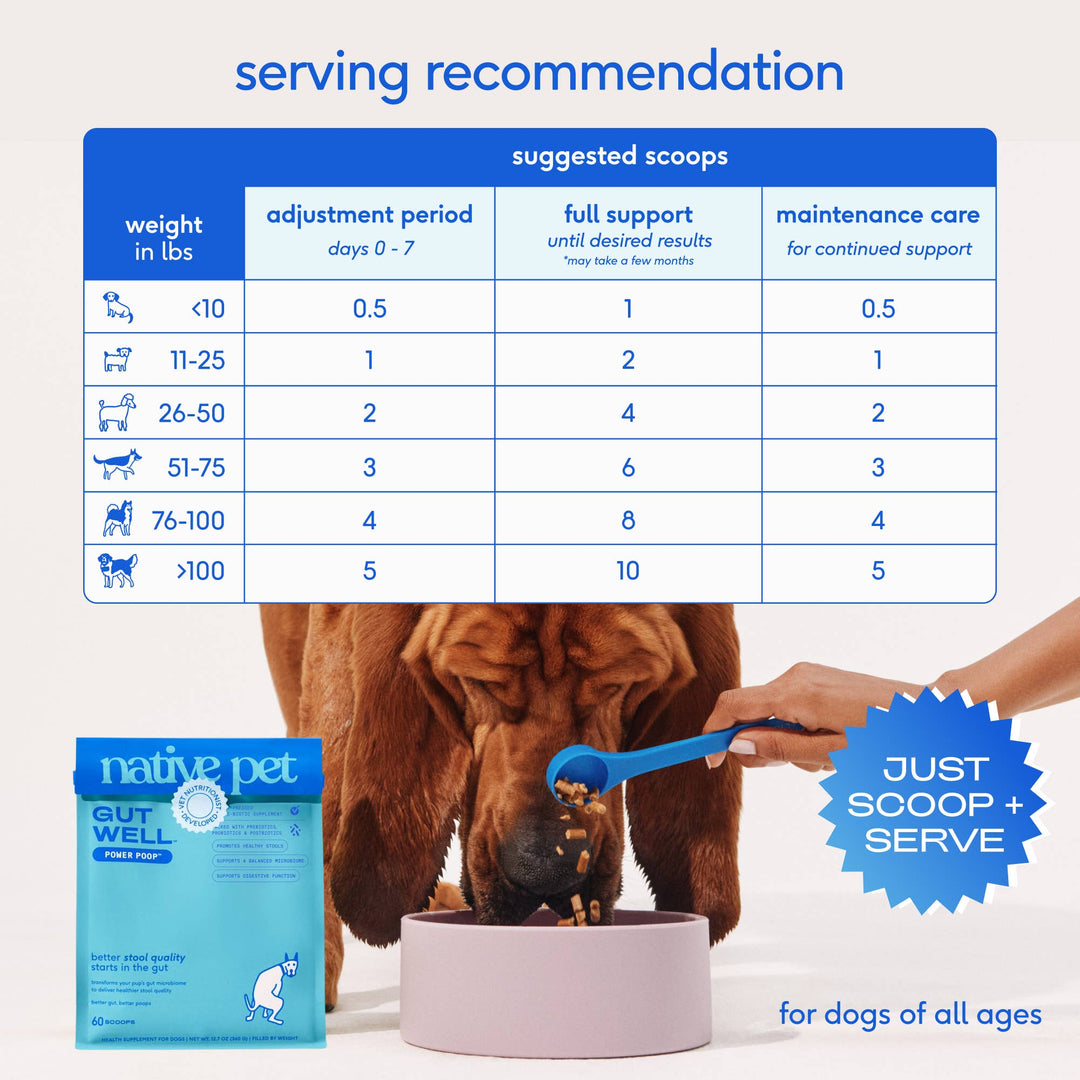 Native Pet GutWell Power Poop Digestion Support Supplement