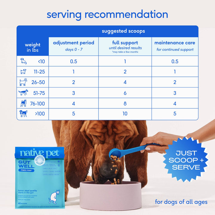 Native Pet GutWell Power Poop Digestion Support Supplement