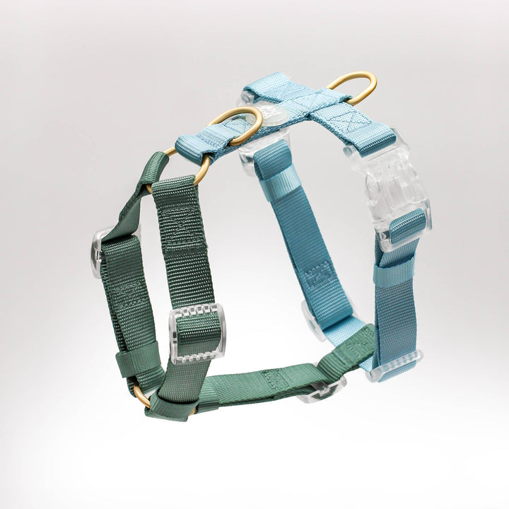 Classic Harness | Hunter Sky