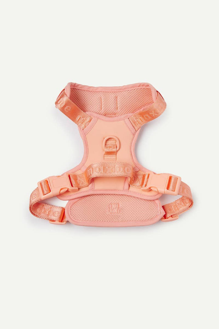 Easy Fit Harness for Dogs