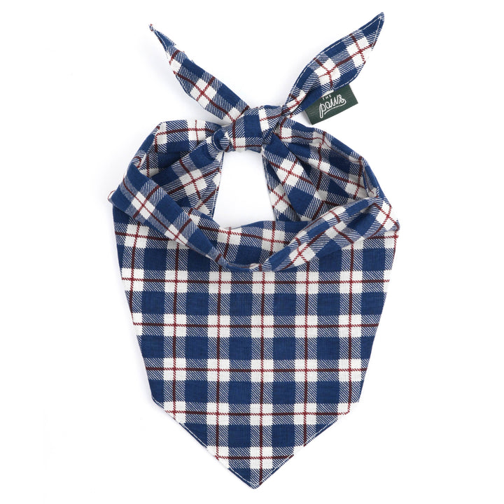 Apres  Dog Bandana