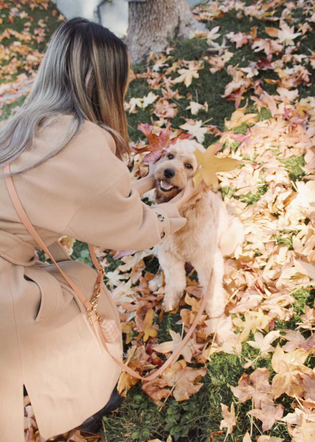 4-in-1 Hands-Free Convertible Cloud Leash