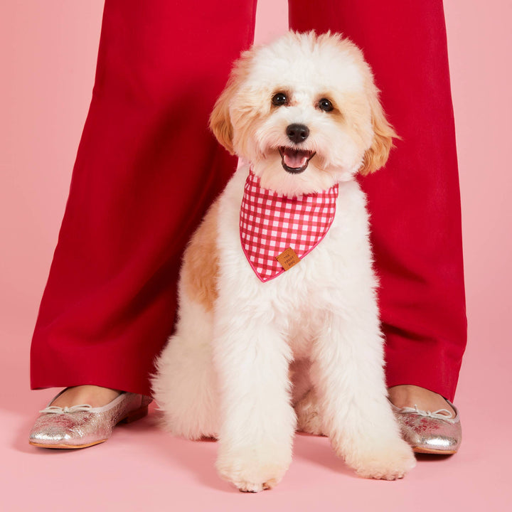 Raspberry Gingham Valentine's Day Dog Bandana