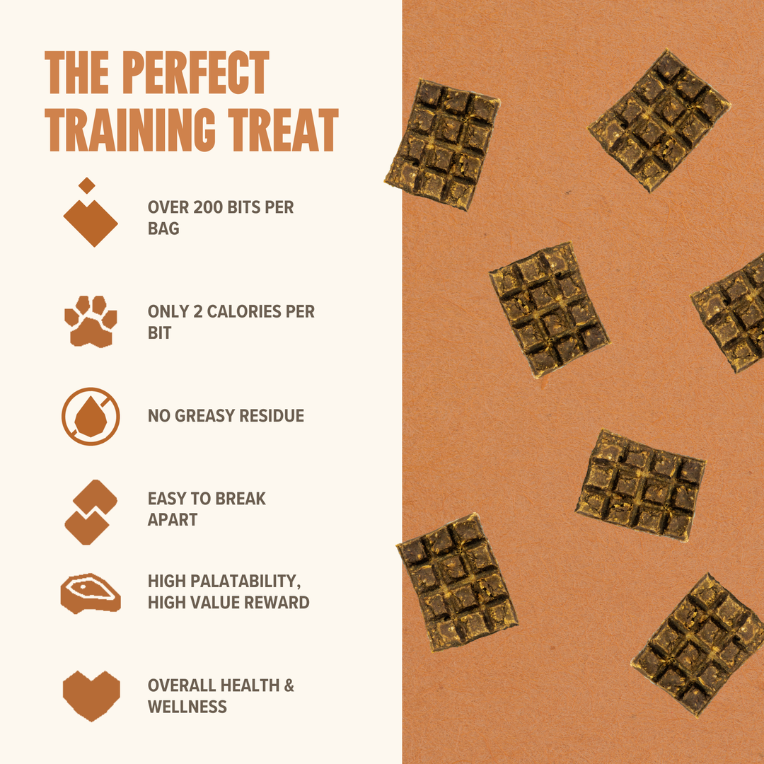 Quail Mini Training Treats for Dogs - Low-Calorie & Tasty