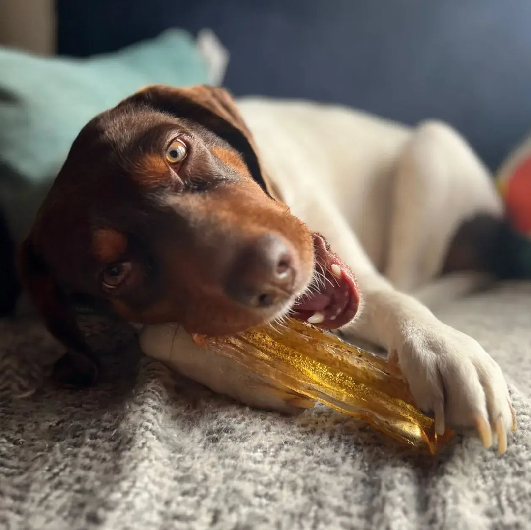 Mighty Marrows Collagen Dental Chew - Bacon