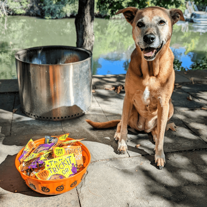 Halloween Chicken & Turkey Treats for Dogs & Cats