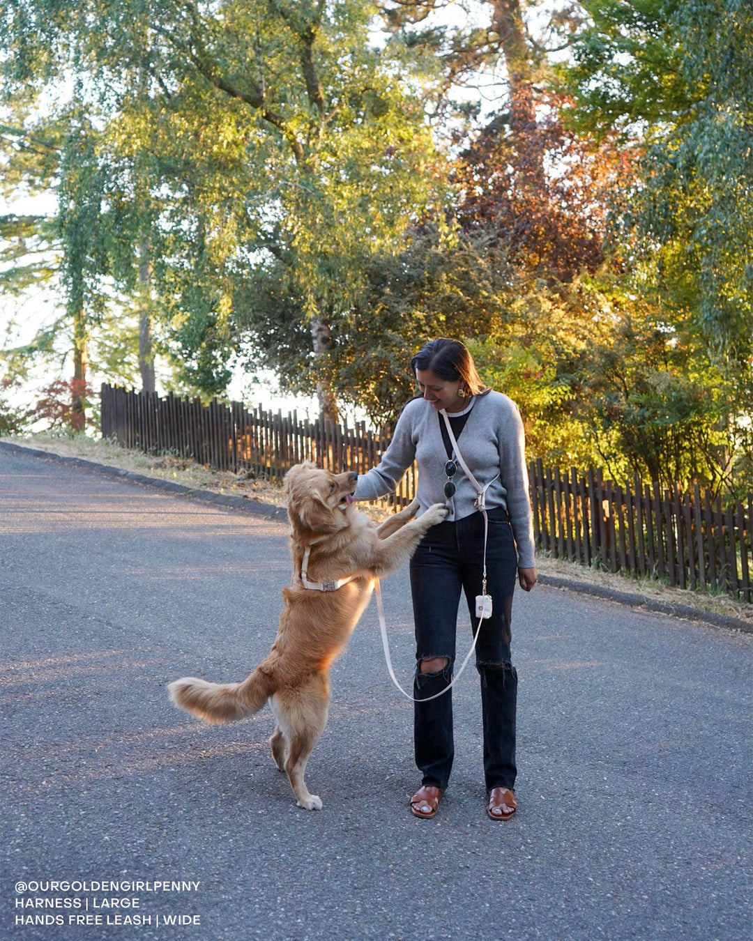 Twist Lock 4-in-1 Wide Hands-Free Convertible Cloud Leash (3/4")