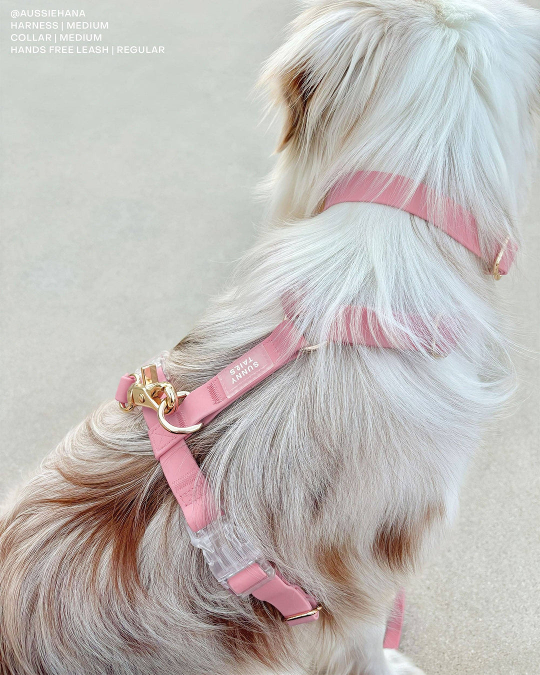 Waterproof Cloud Collar