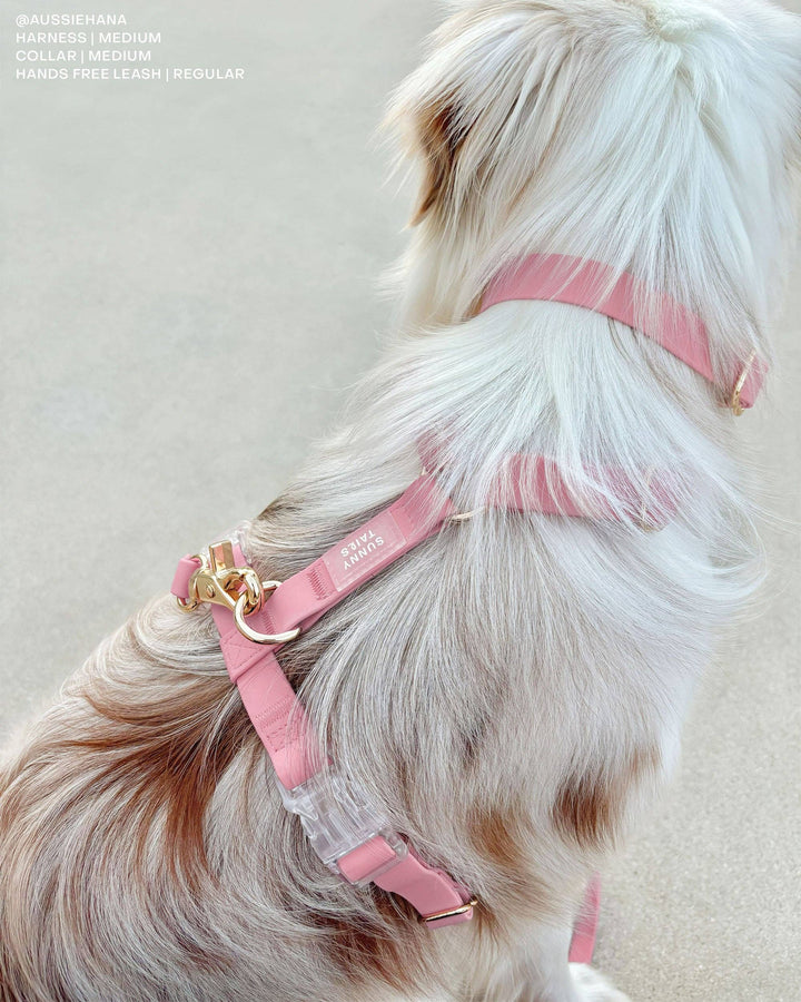 Waterproof Cloud Collar