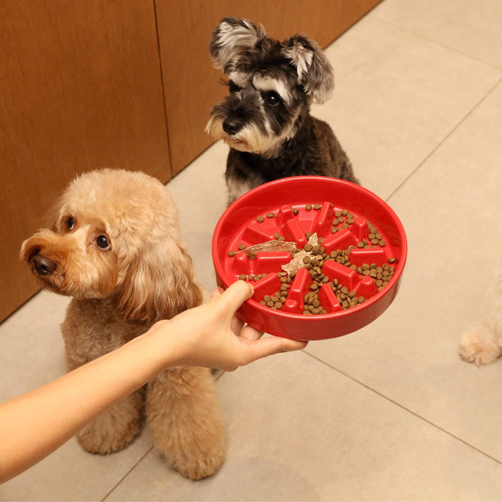 Wave Slow Feeder Dog Bowl