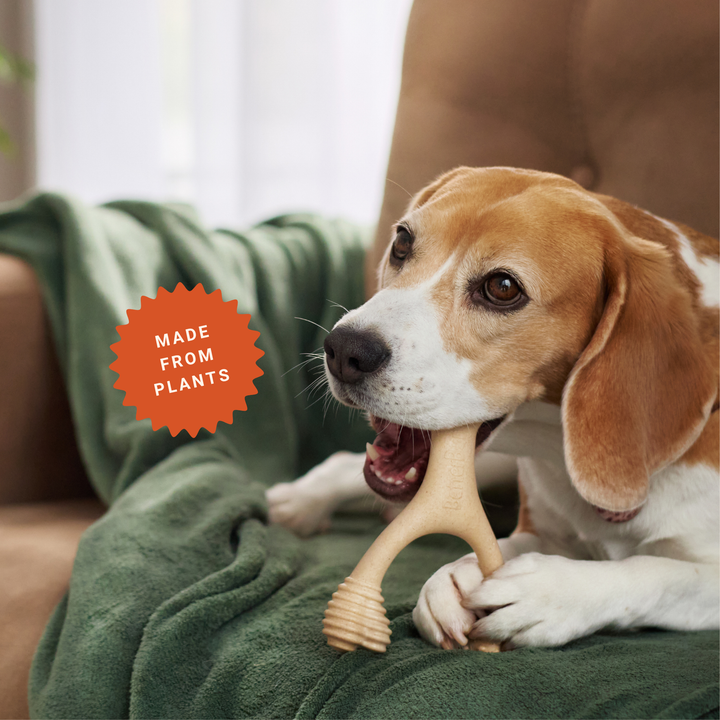 BetterBone Wishbone Plant Based Chew Toy