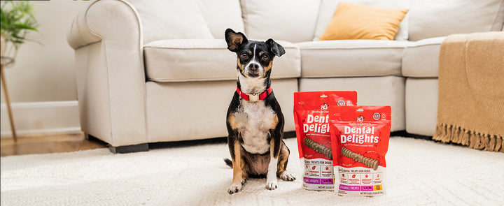 Stella and Chewy's Dental Delights - 4 in One Dental Treats for Dogs