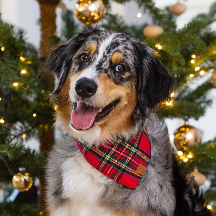 Tartan Plaid Flannel Holiday Bandana