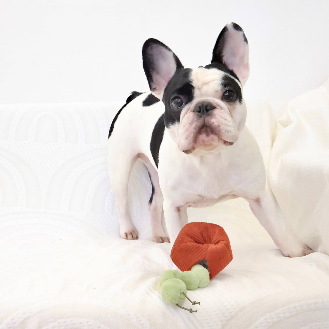 APPLE/ ENRICHMENT TOY SET// SNUFFLE TOY