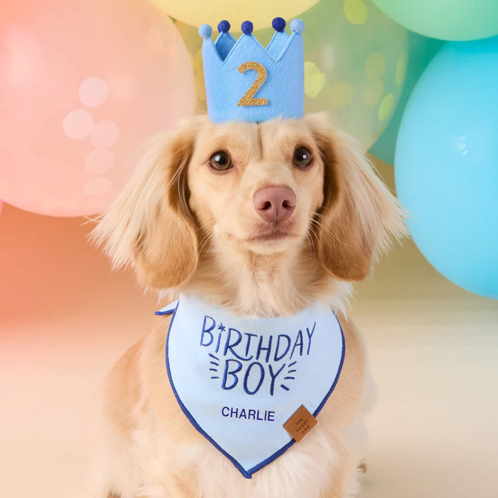 Birthday Boy Embroidered Dog Bandana