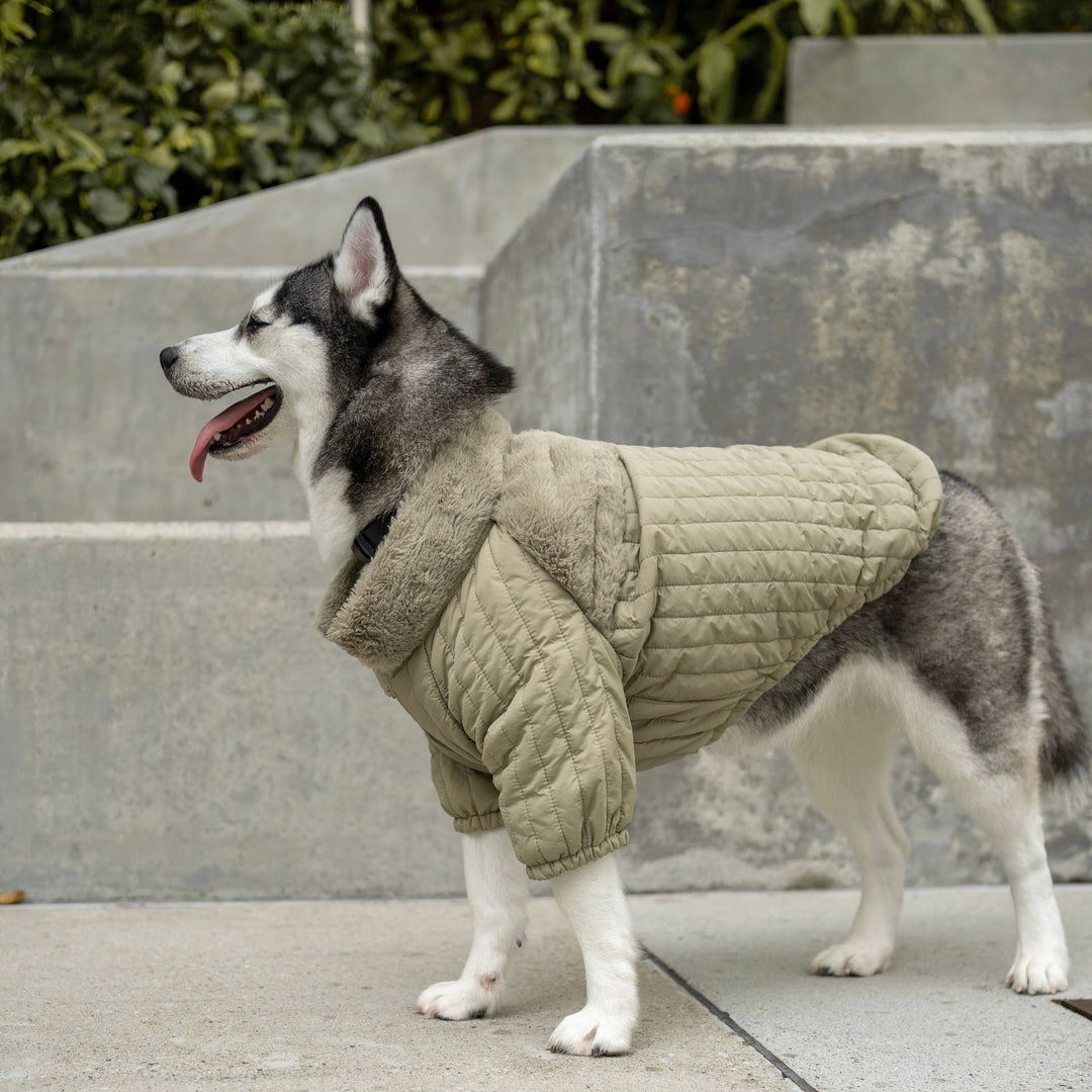 SOHO Packable Jacket