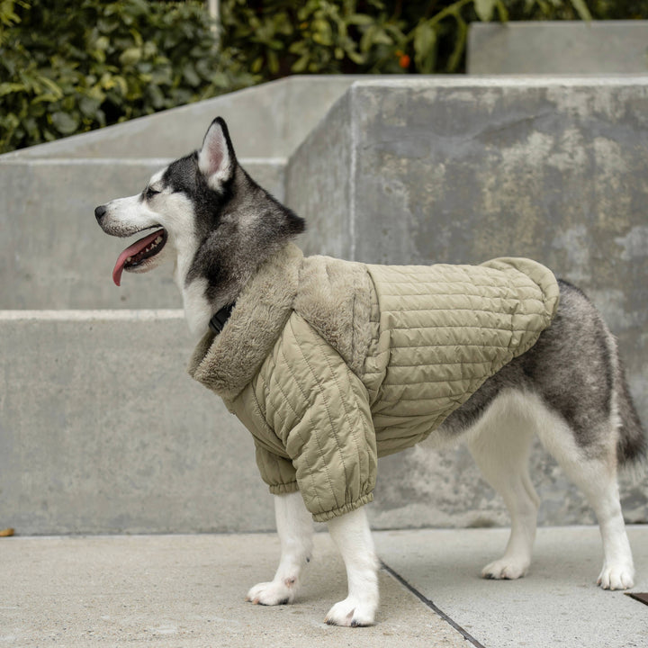 SOHO Packable Jacket