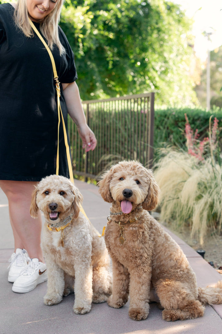 Cloud Leash 4-Way Extension