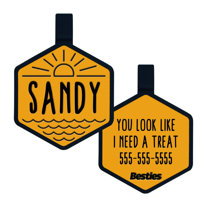 Salt and Sun Silicone Dog ID Tag