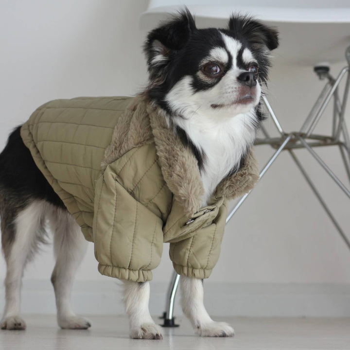 SOHO Packable Jacket