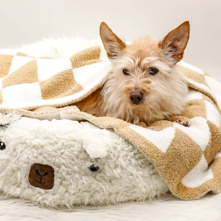 Mini Fluffy Blanket for Dogs Cats | Mocha