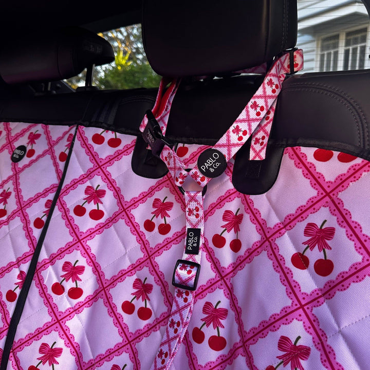 Ma chérie: Headrest Car Restraint