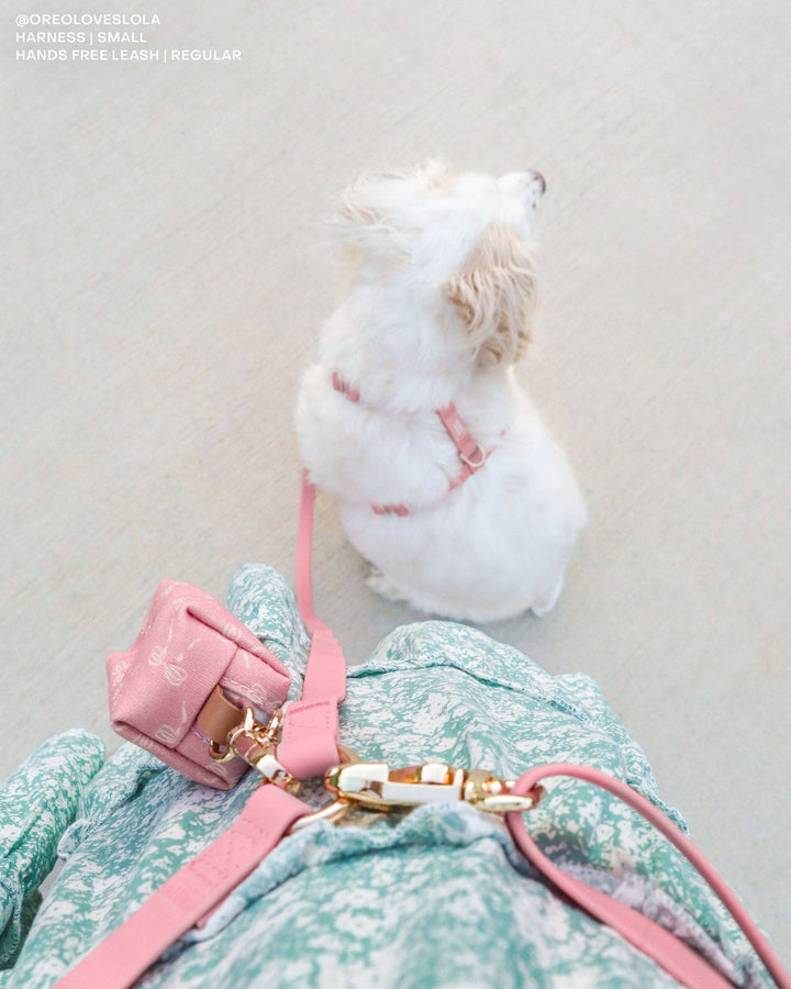 4-in-1 Hands-Free Convertible Cloud Leash