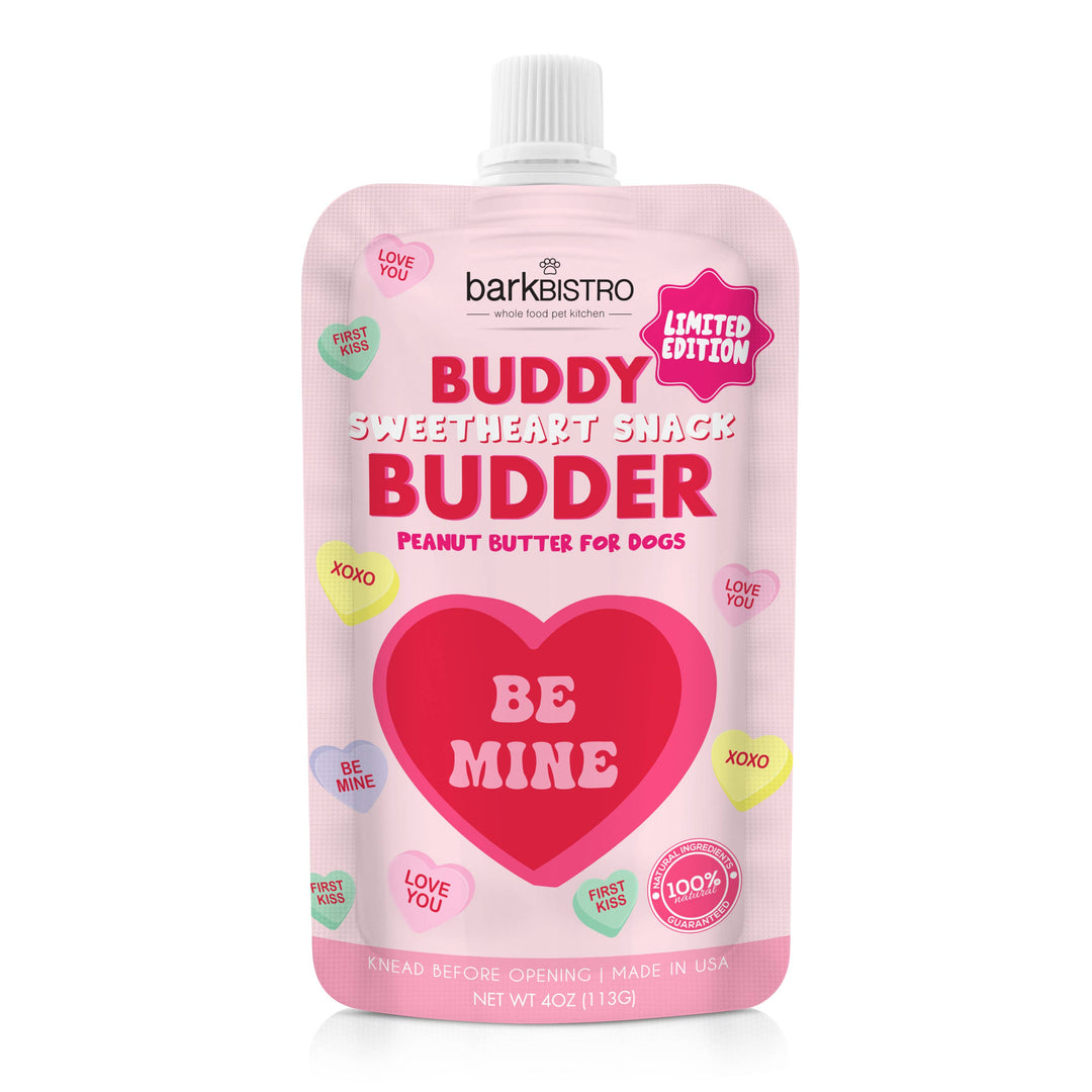 Valentine's Day Sweetheart Snack Buddy Budder