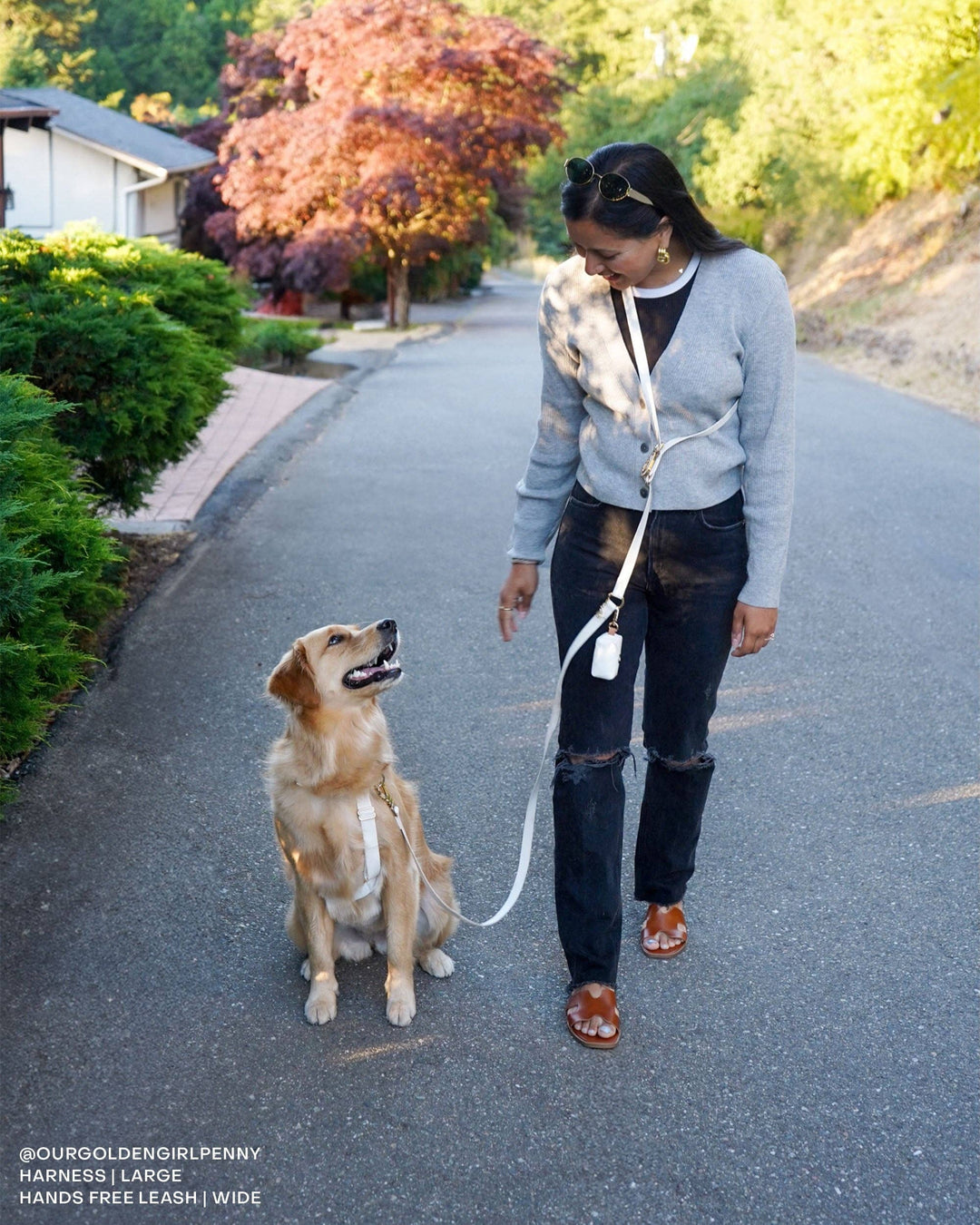 Twist Lock 4-in-1 Wide Hands-Free Convertible Cloud Leash (3/4")